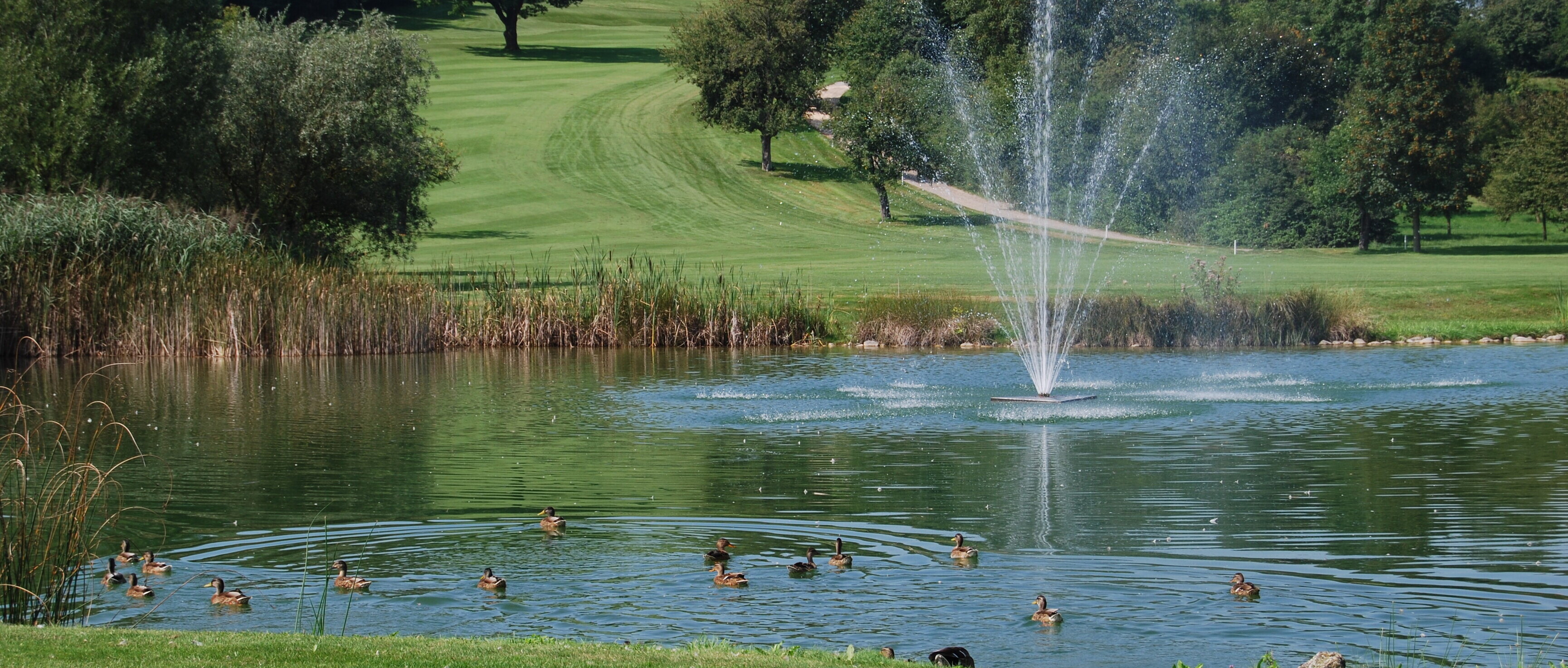 Image 2 - Golfclub Rheinblick 