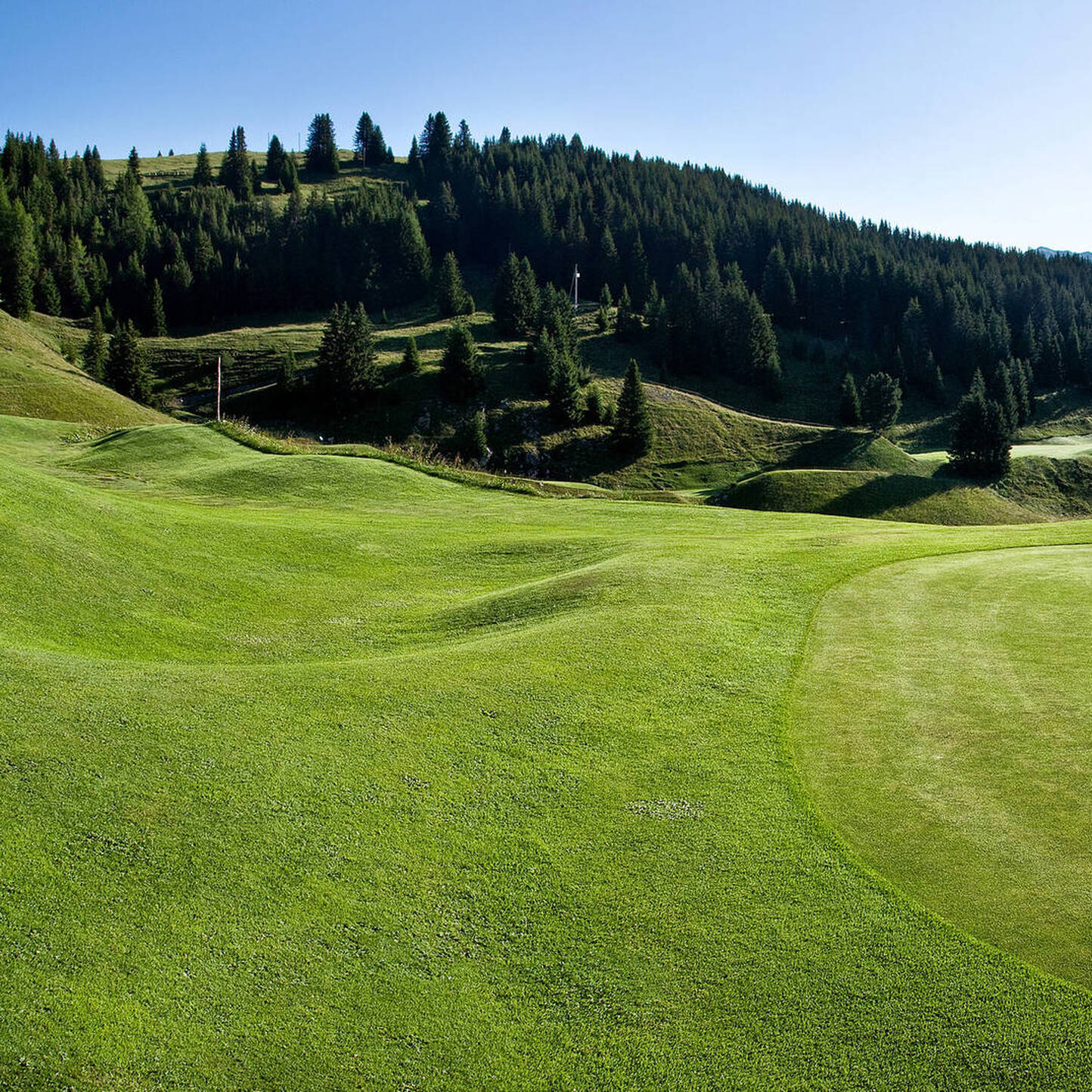 Oui - Golf-Club Arosa