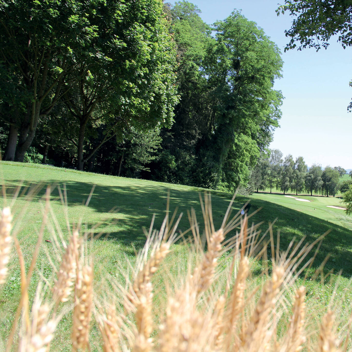 Oui - Golf & Country Club Basel