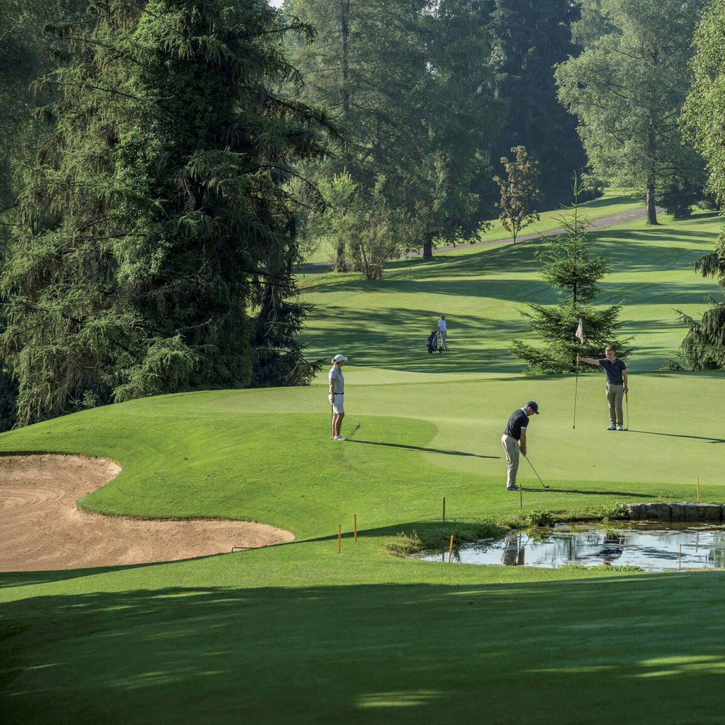 Oui - Golfclub Breitenloo