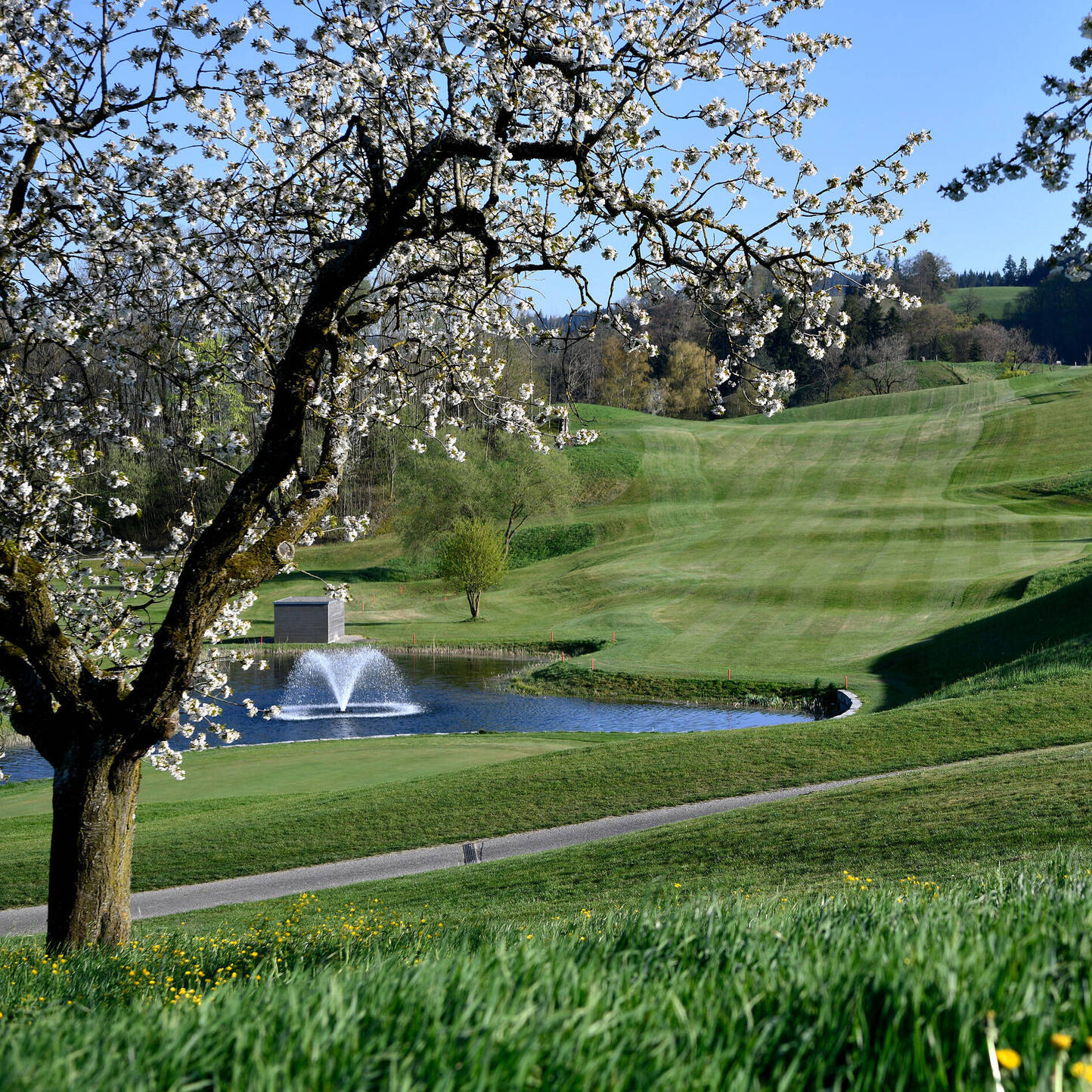 Oui - Golf Emmental