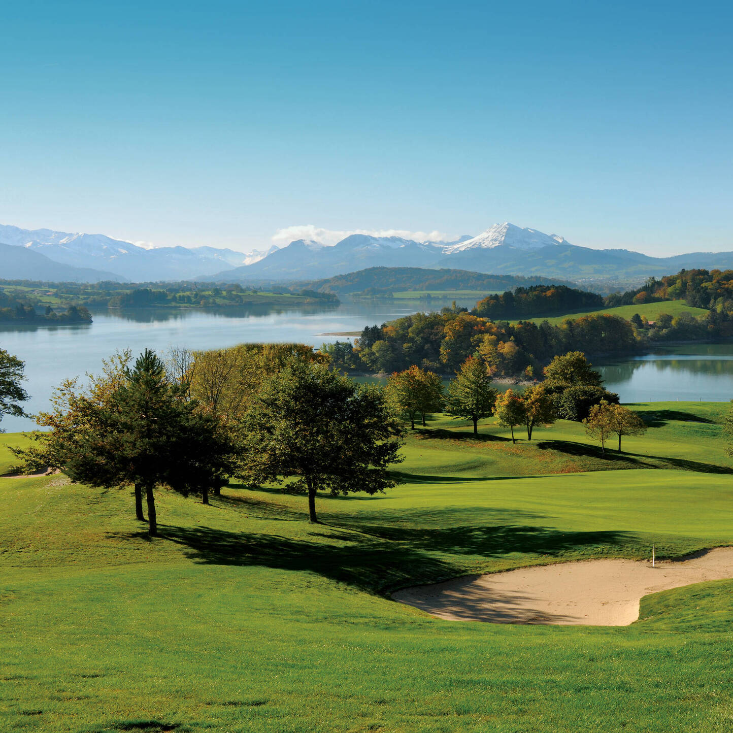 Oui - Golf de la Gruyère