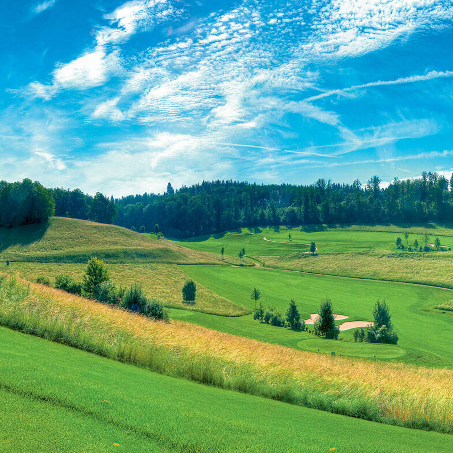 Oui - Golfclub Heidental