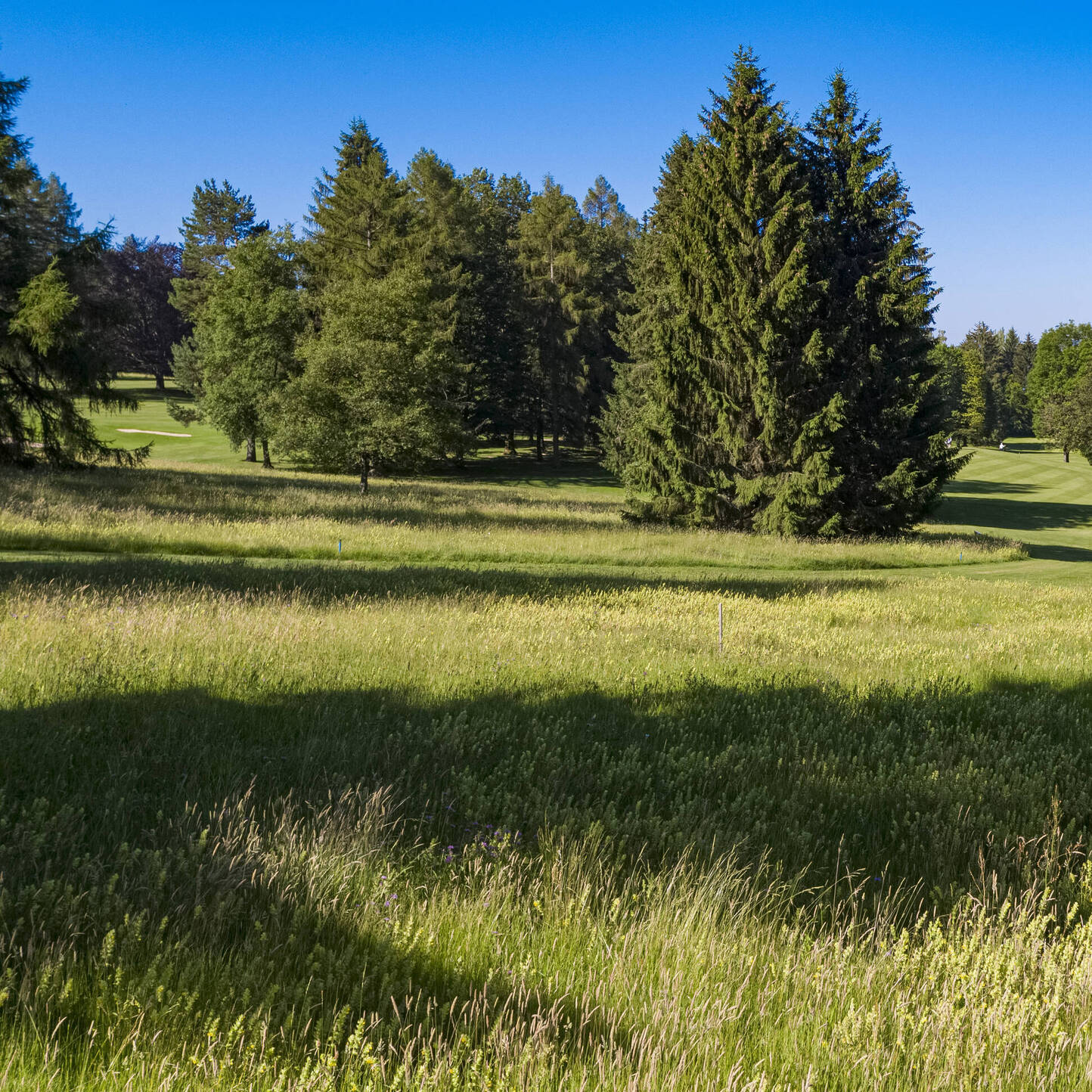 Oui - Golf Club de Lausanne