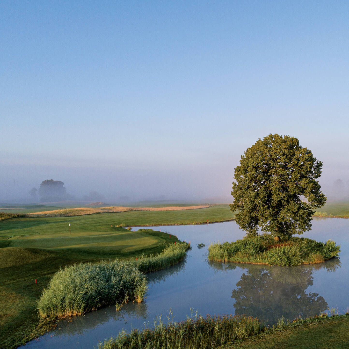 Oui - Golf Limpachtal