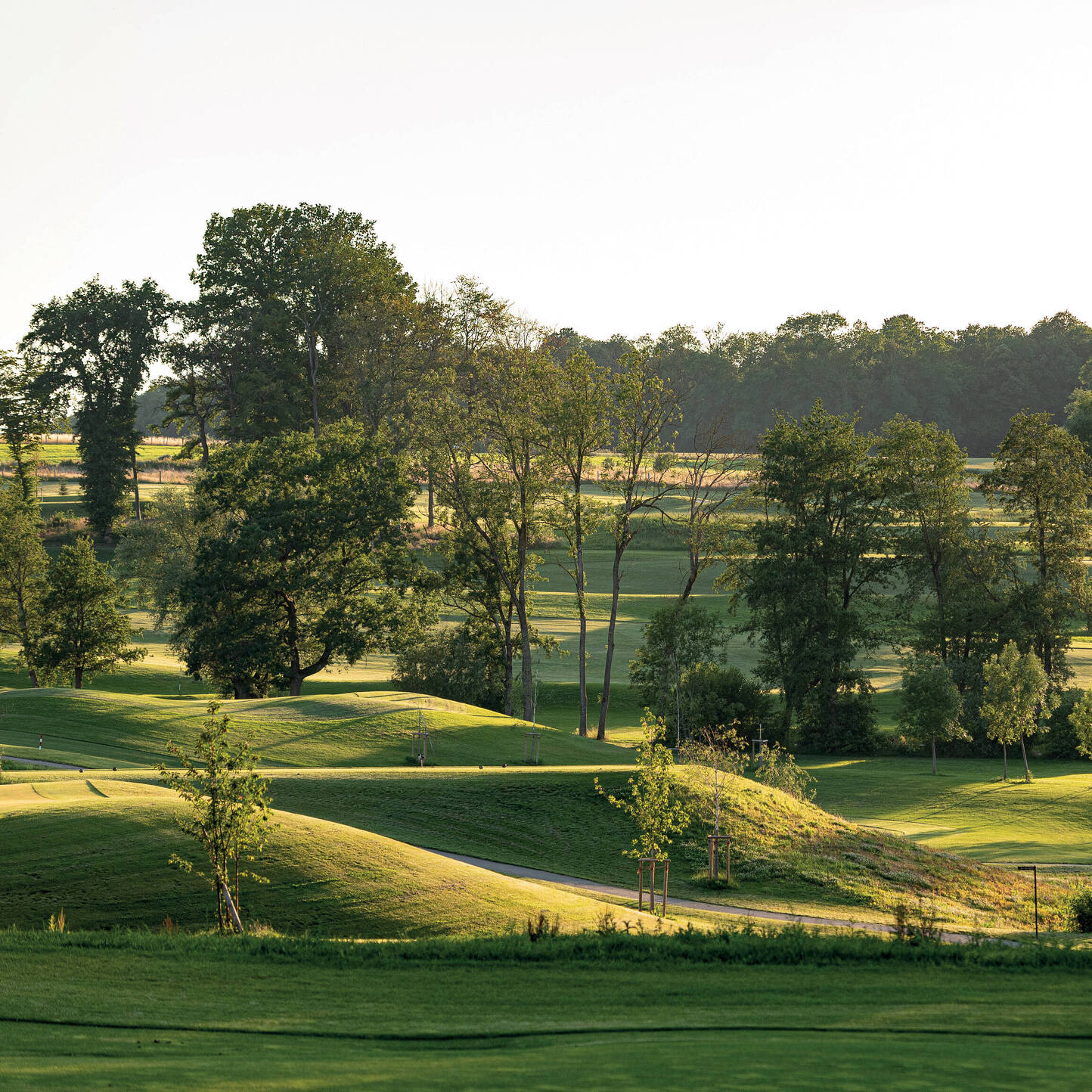 Oui - Golf Saint Apollinaire 