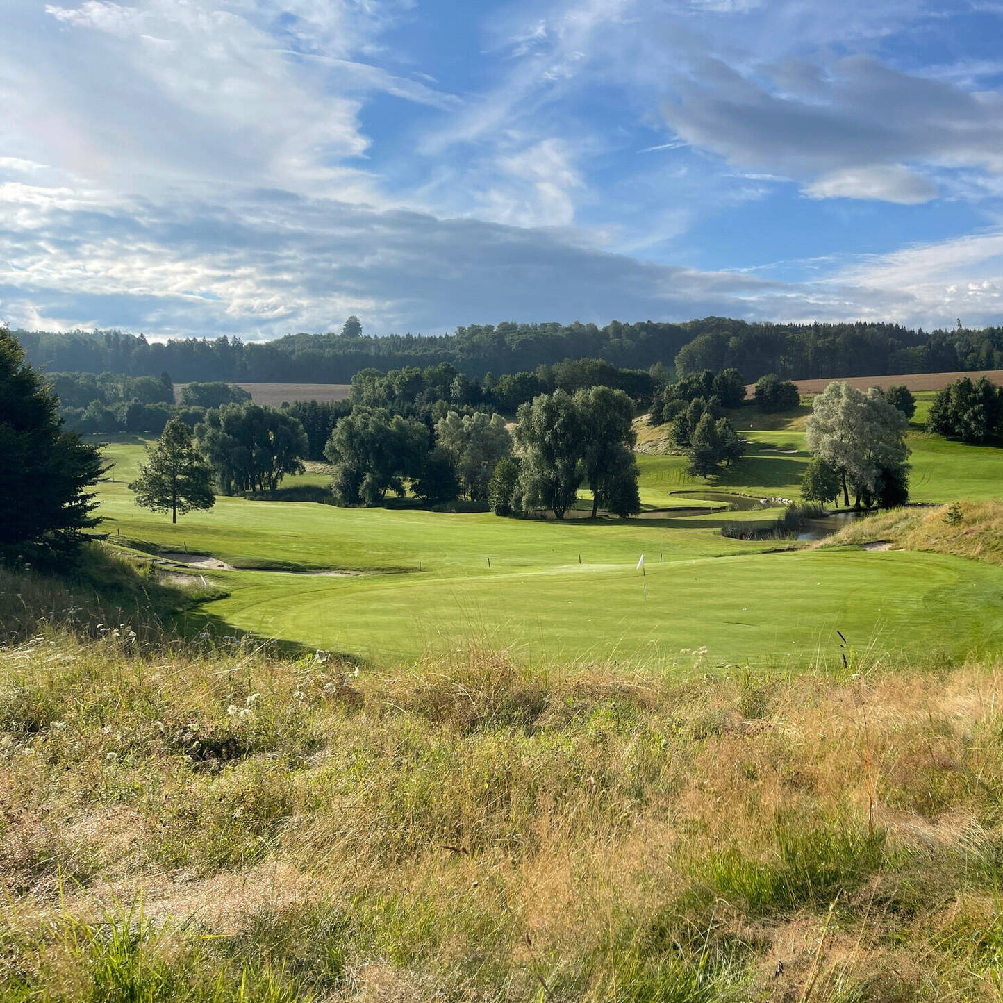 Oui - Golf Club Vuissens