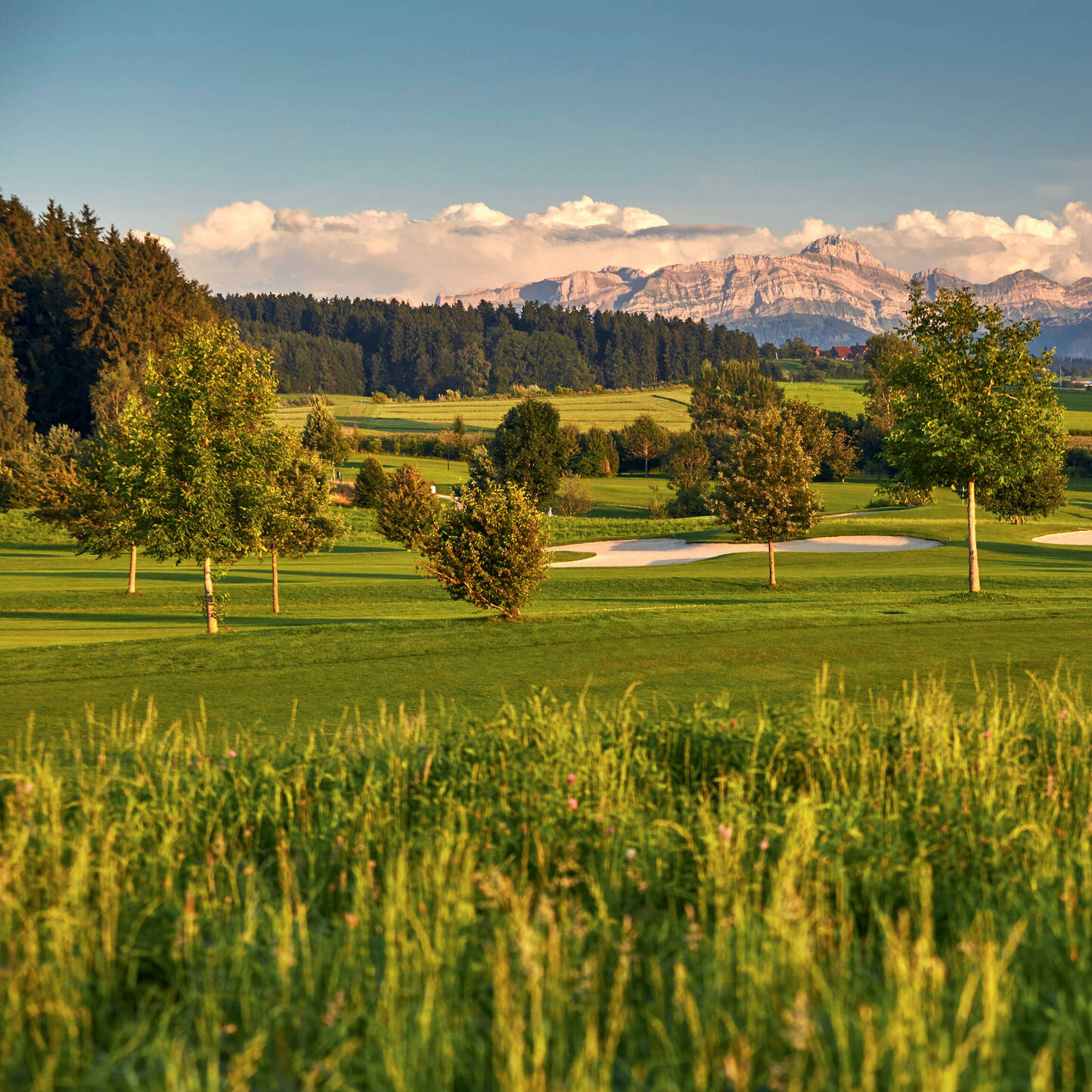 Oui - Golfpark Waldkirch