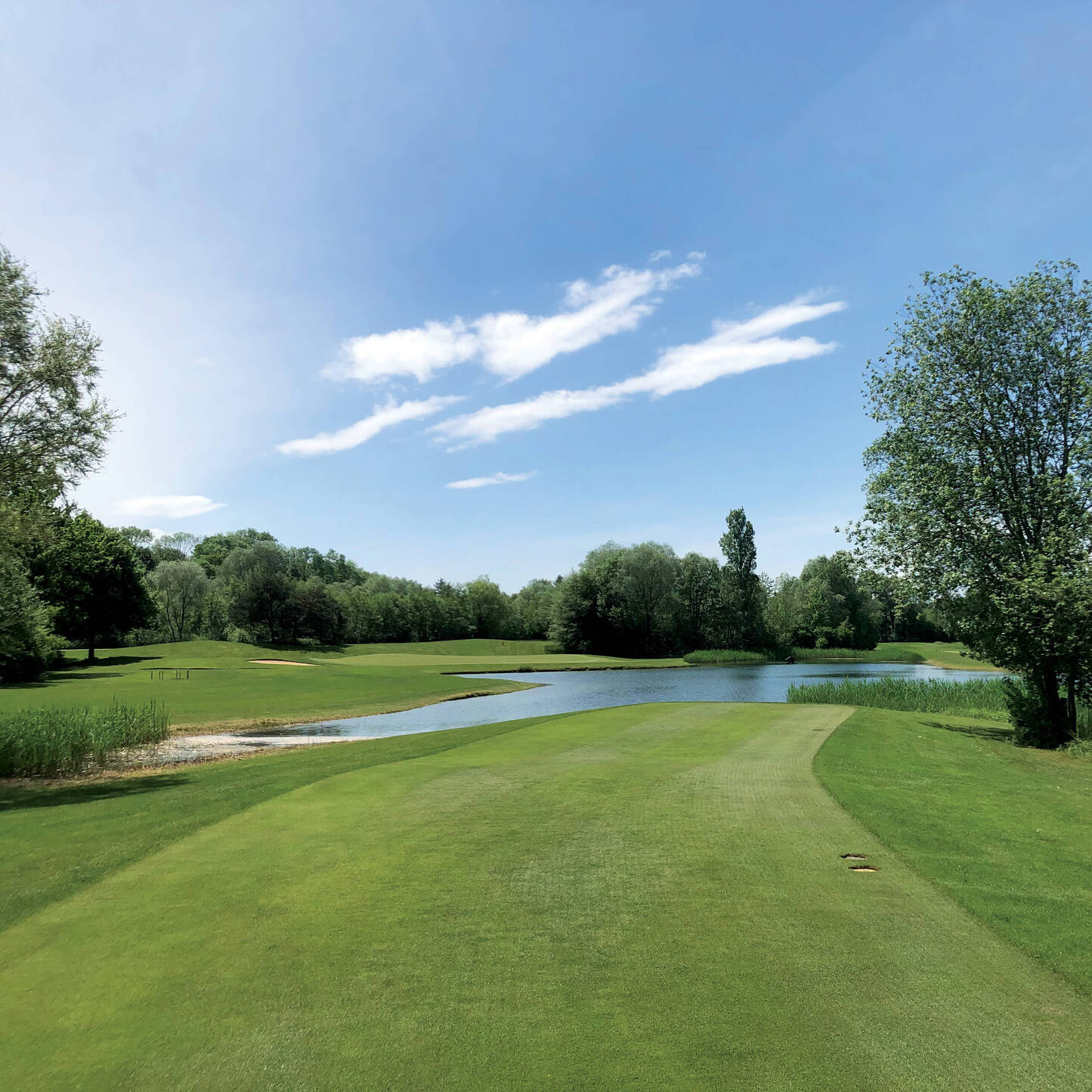 Oui - Golf Club Wylihof