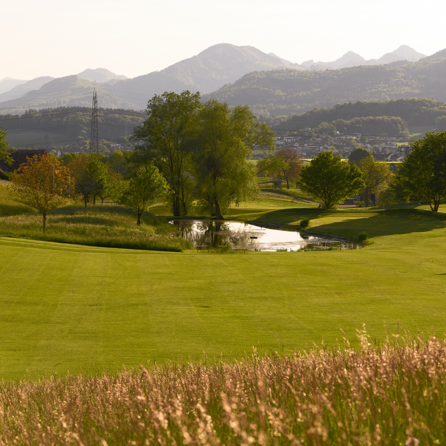 Oui - Golfclub Heidental