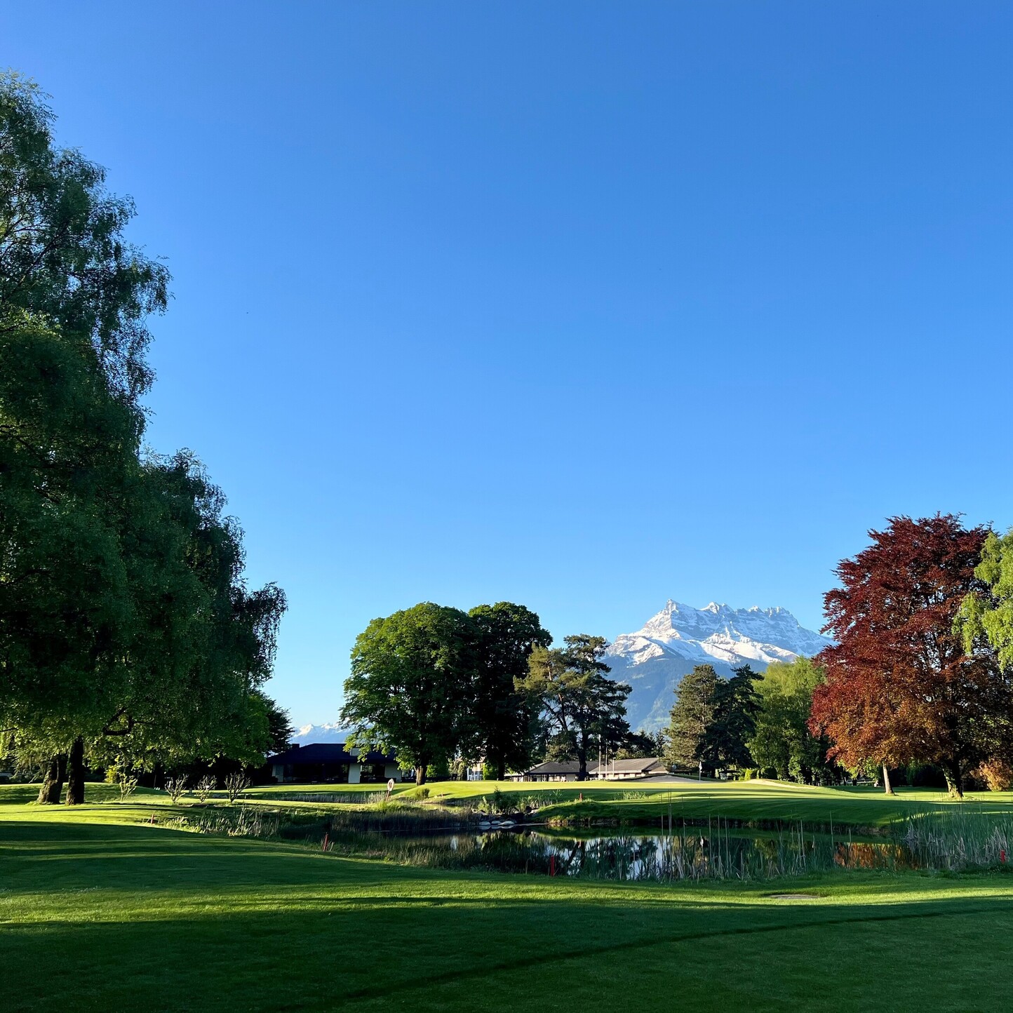 Oui - Golf Club Montreux